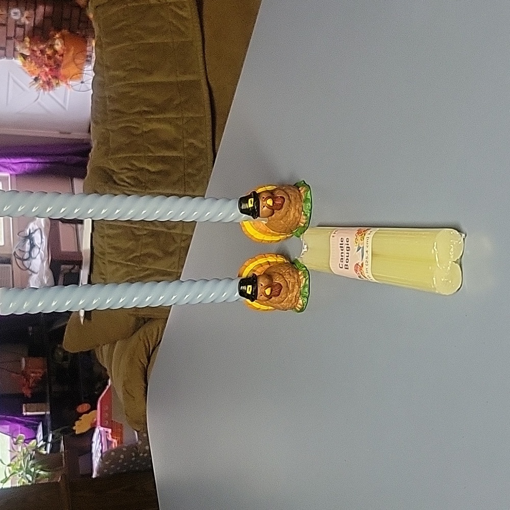 Hand painted turkey candle sticks and white candles - Picture 1 of 10